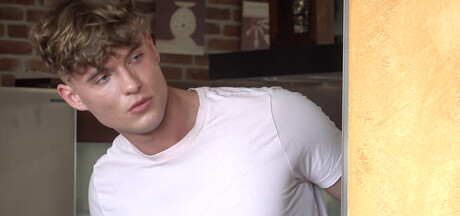 Sasha Hamilton, Steve Collins &amp; Alessandro Lee