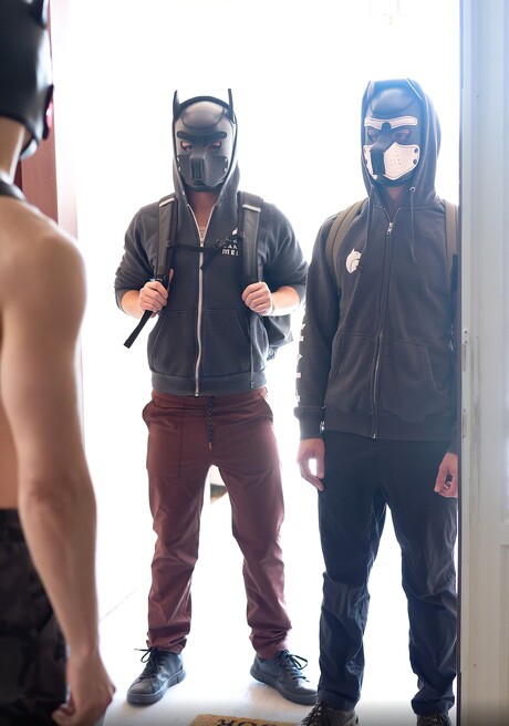 Pup Play Vol.1, Title: House Pups